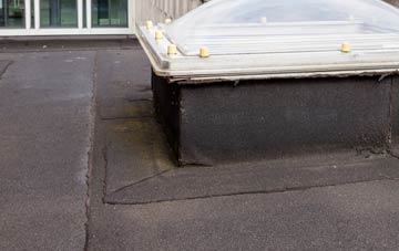 disadvantages of Plwmp flat roofs