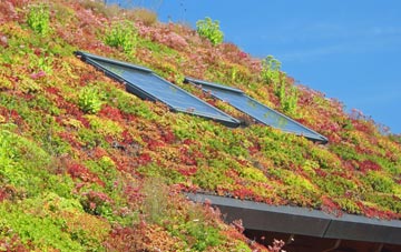 Plwmp living roof systems